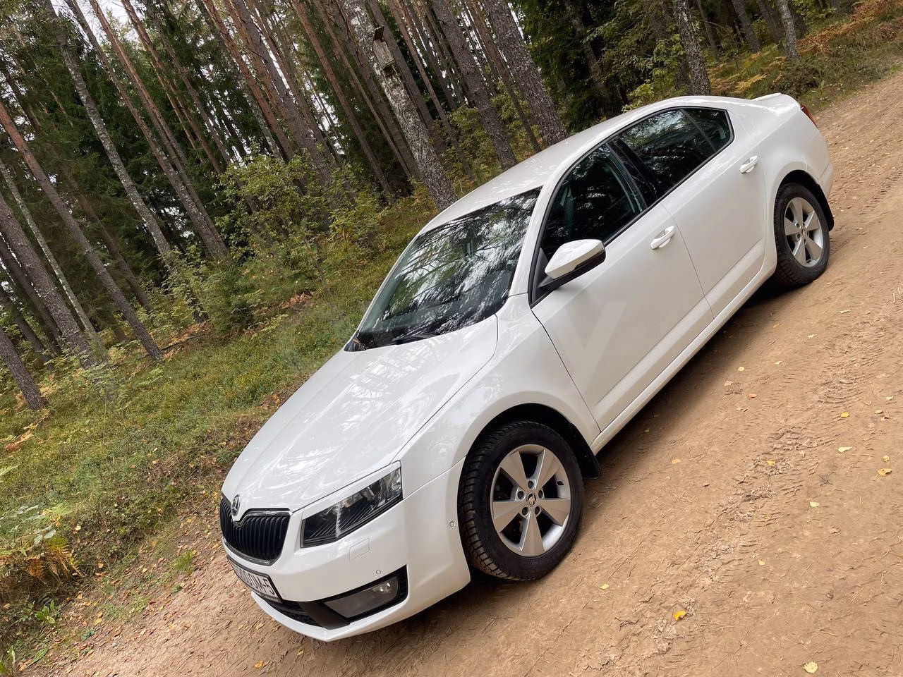 Skoda Octavia фото 3