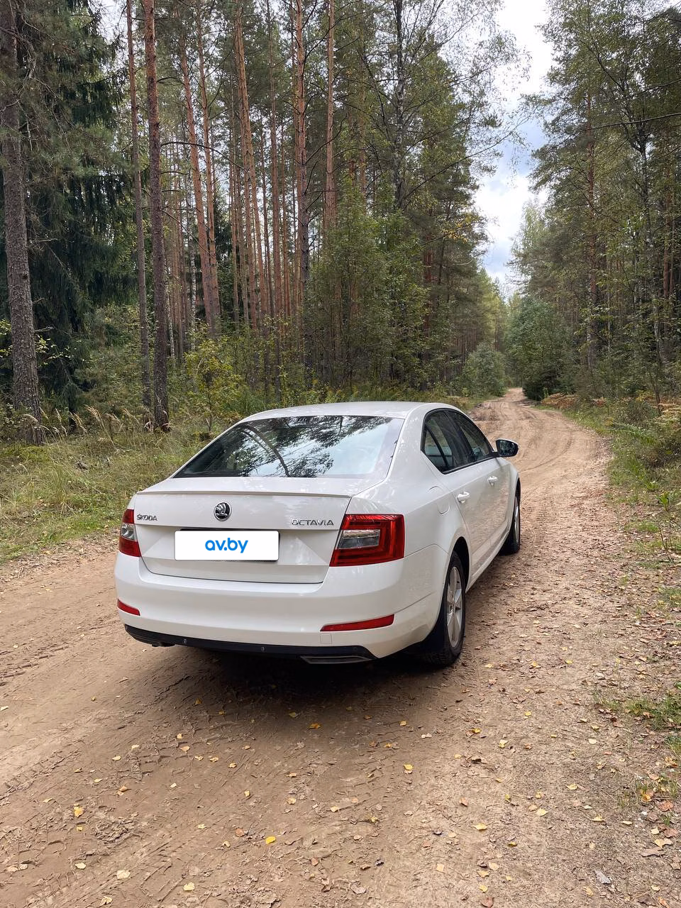 Skoda Octavia фото 4