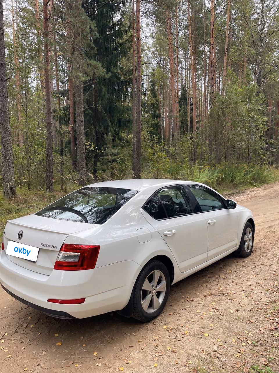 Skoda Octavia фото 5