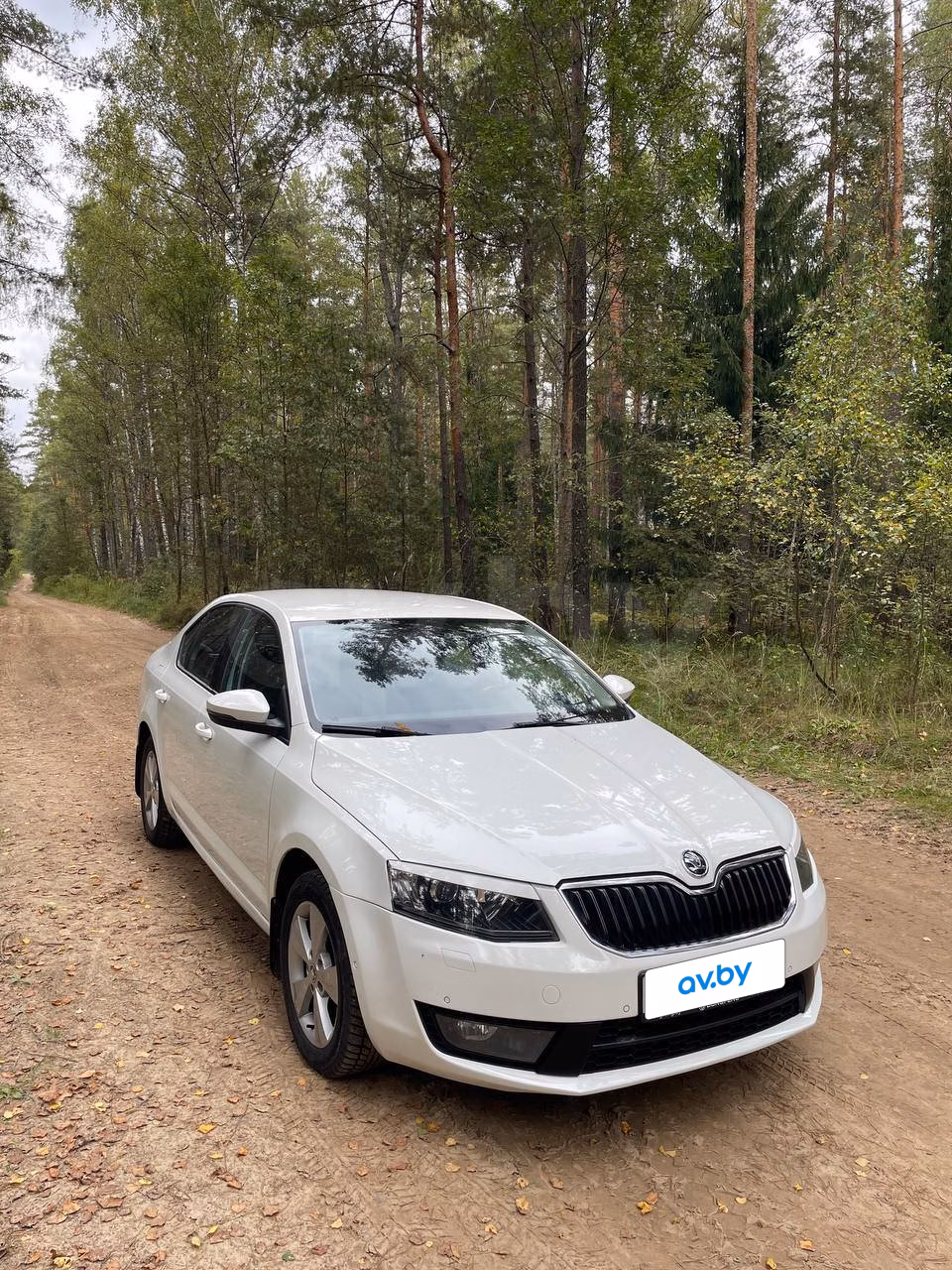 Skoda Octavia фото 6
