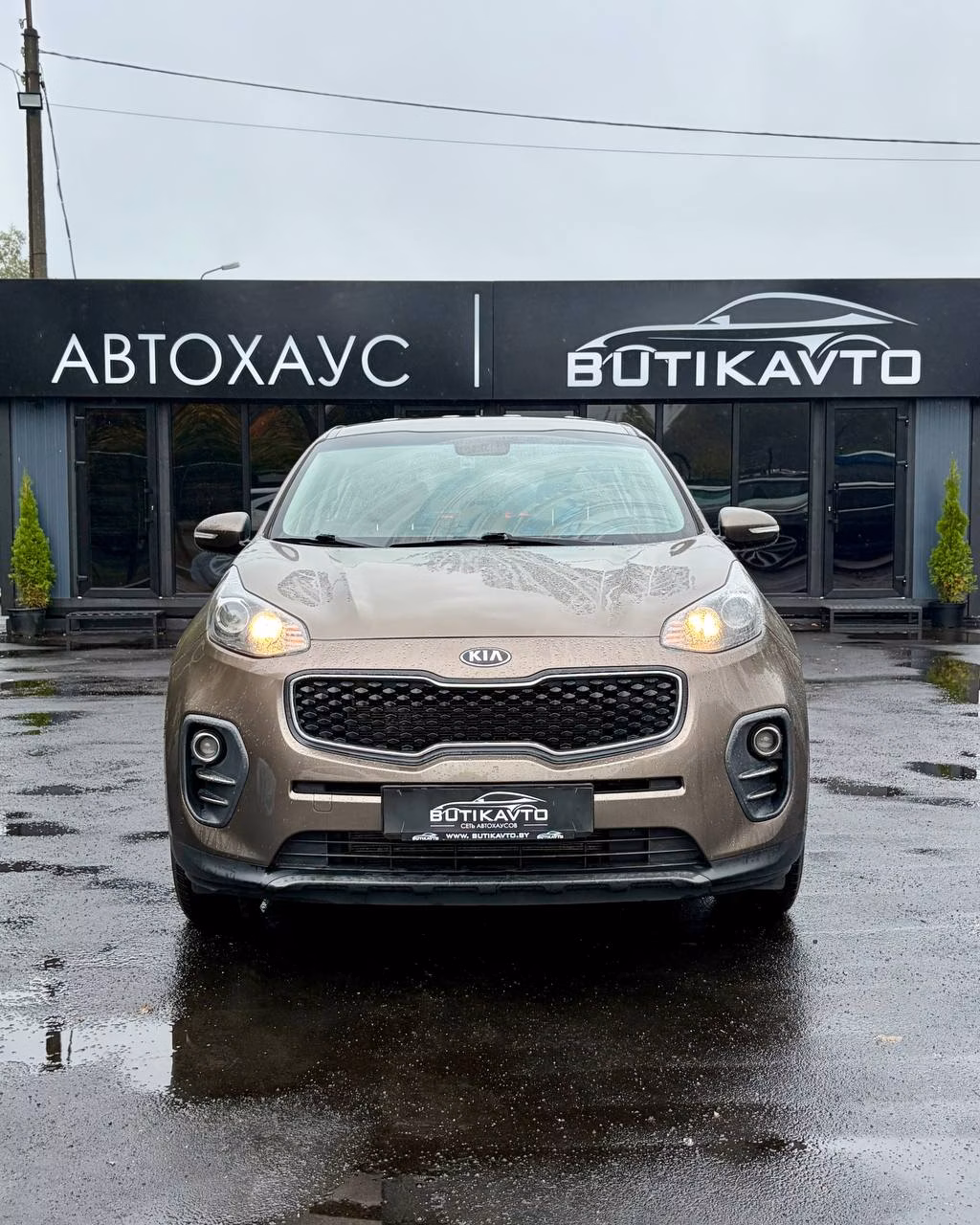 Kia Sportage фото 2