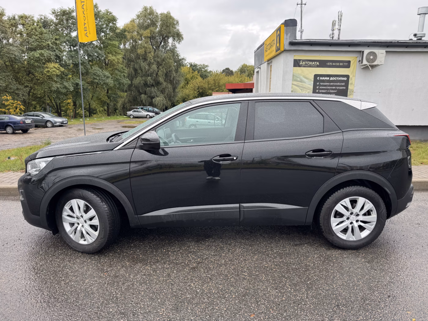 Peugeot 3008 фото 8