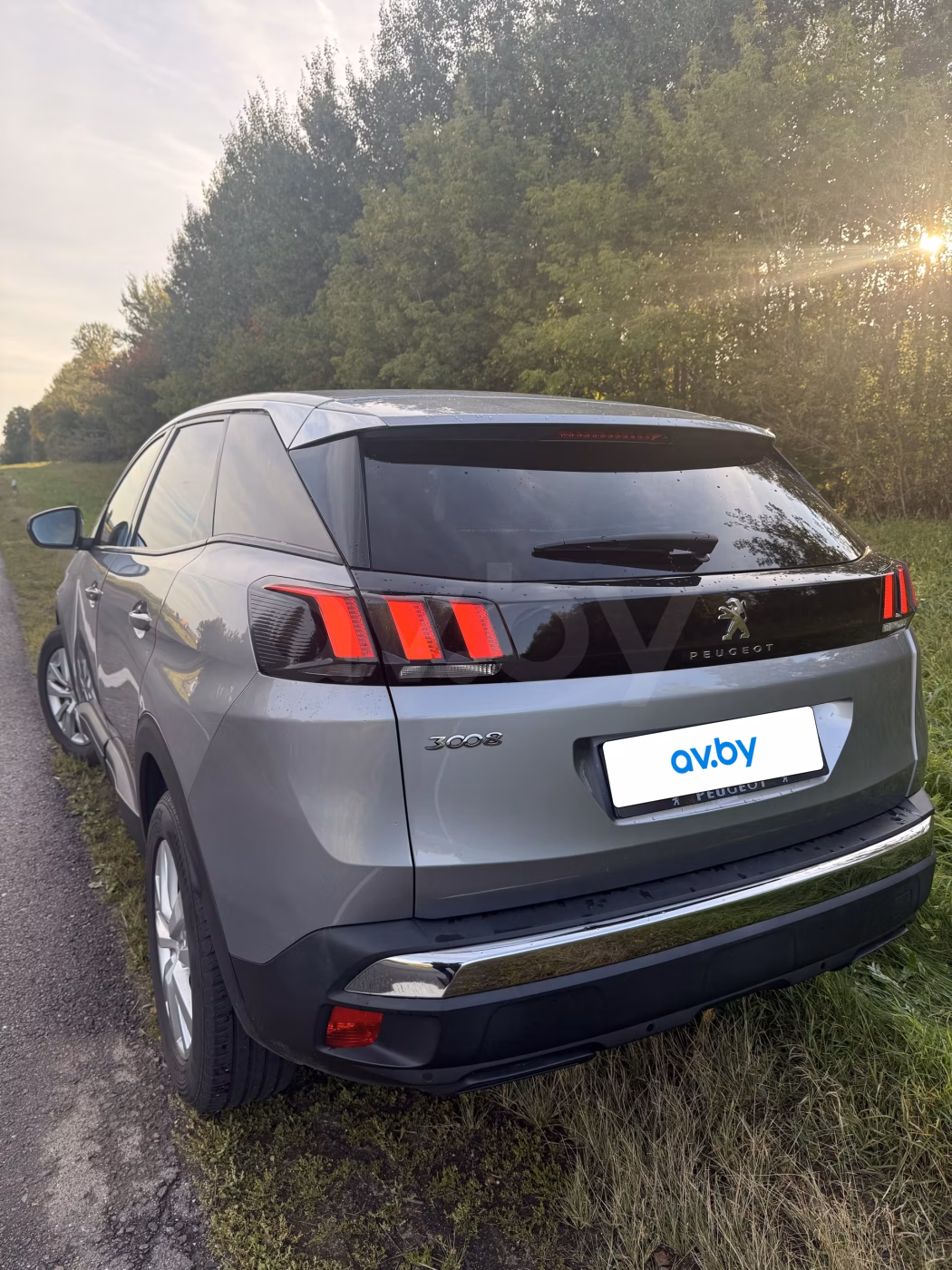 Peugeot 3008 фото 4