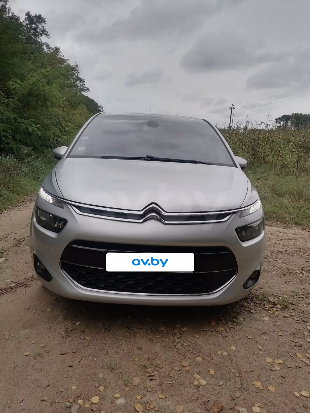 Citroen C4 Picasso фото 5
