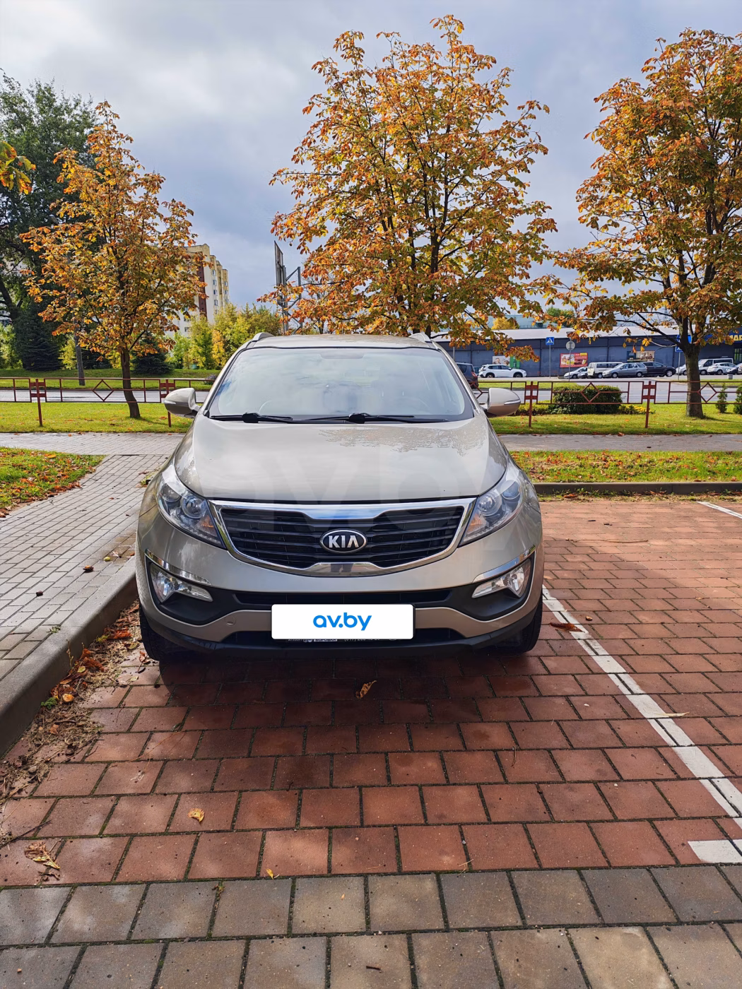 Kia Sportage фото 3