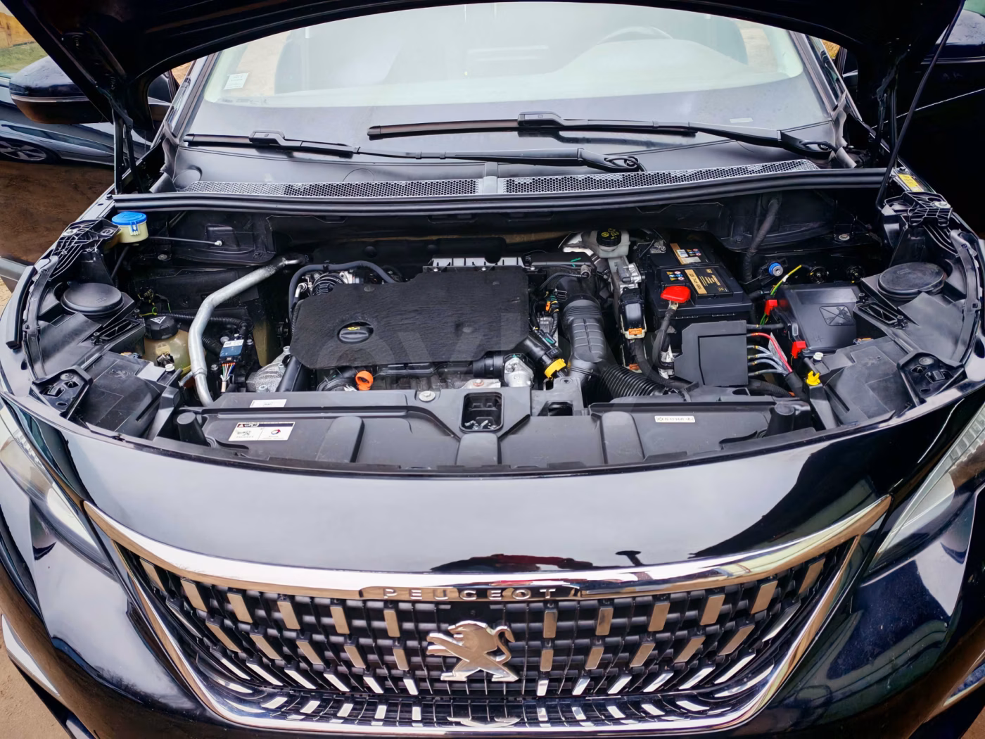 Peugeot 5008 фото 15