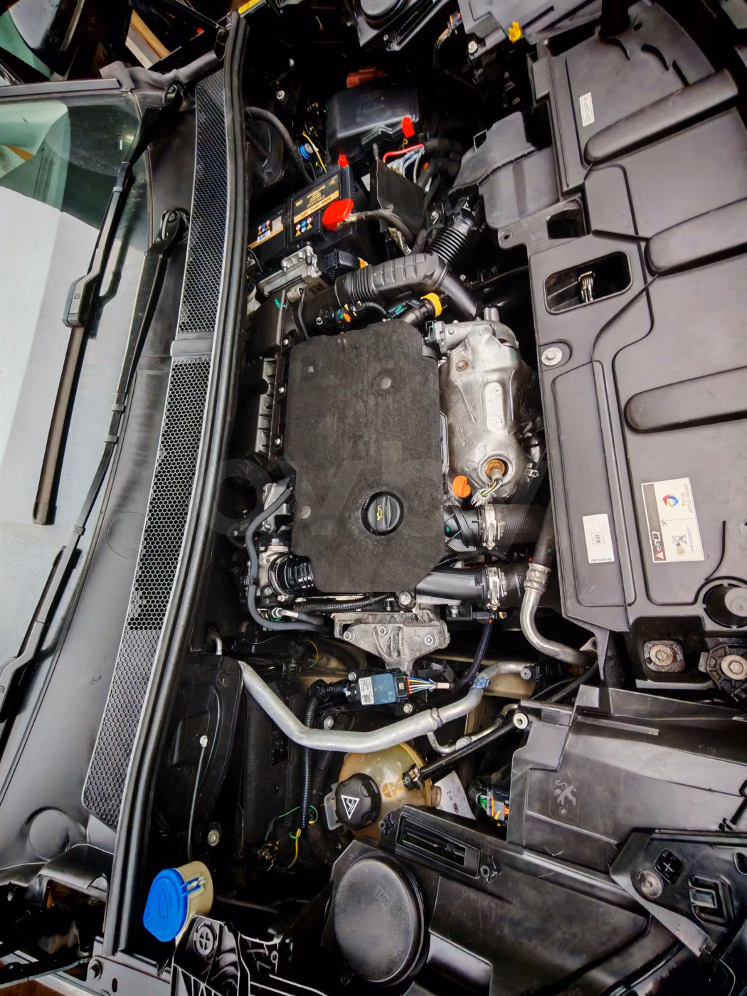 Peugeot 5008 фото 16