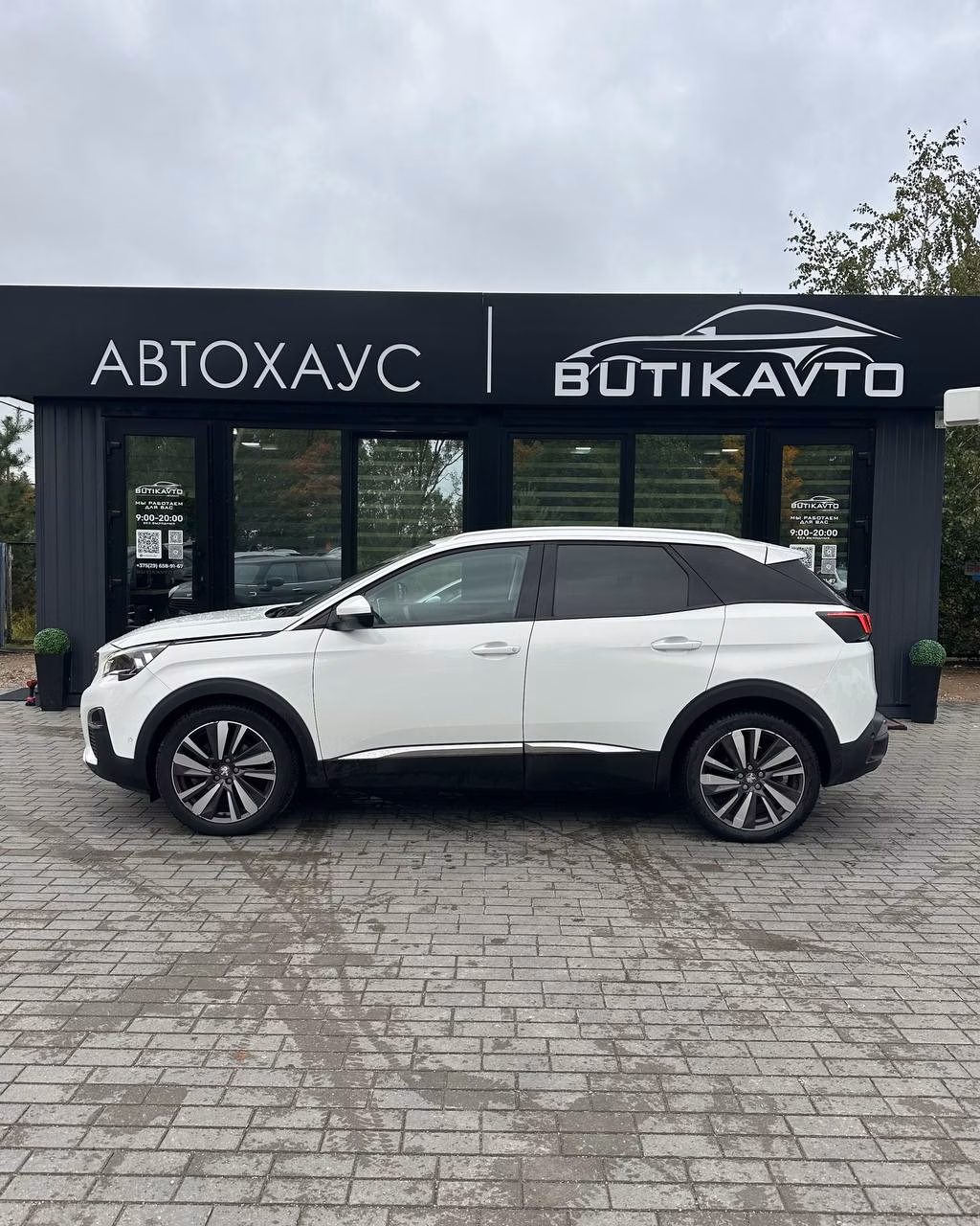 Peugeot 3008 фото 4