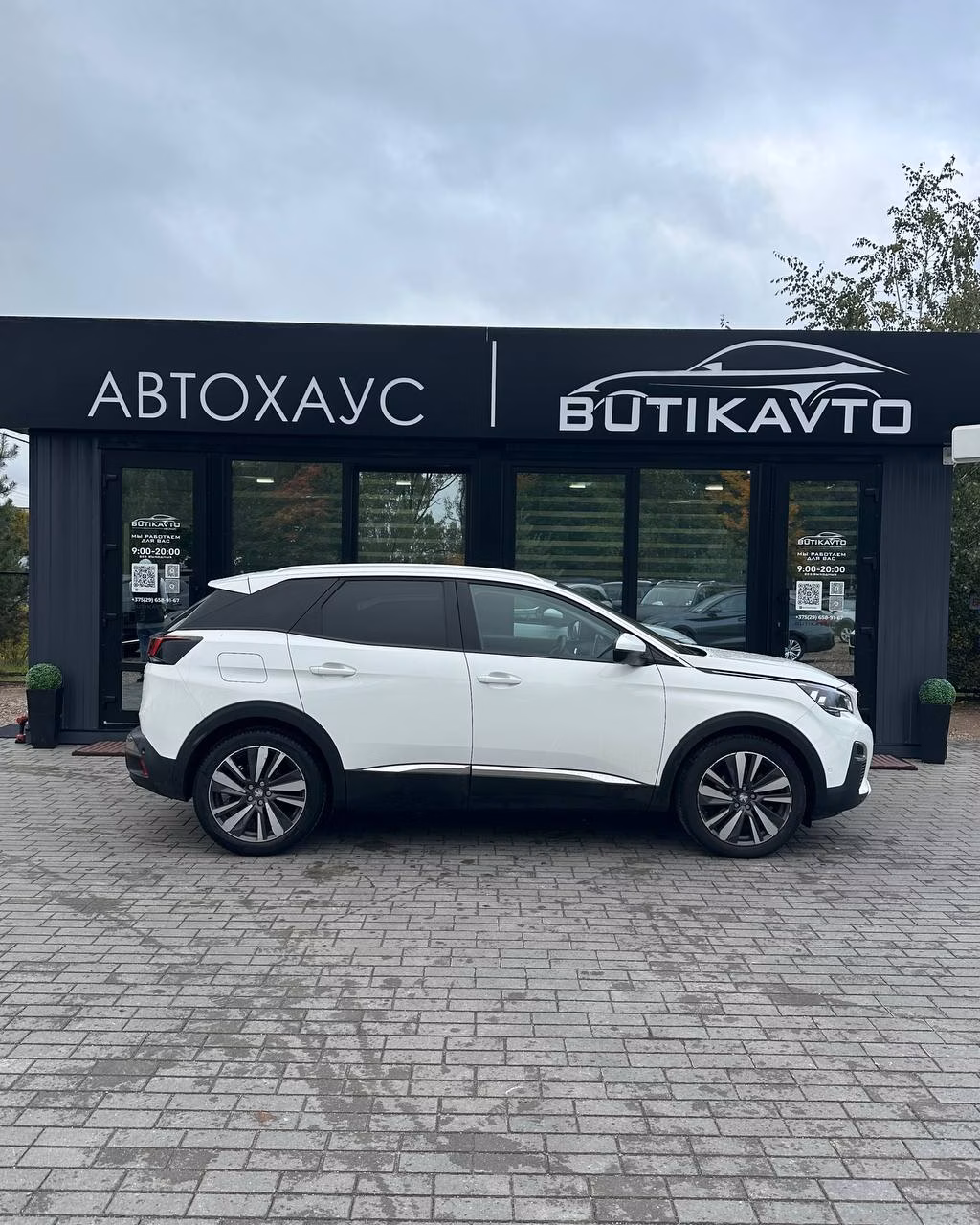 Peugeot 3008 фото 8