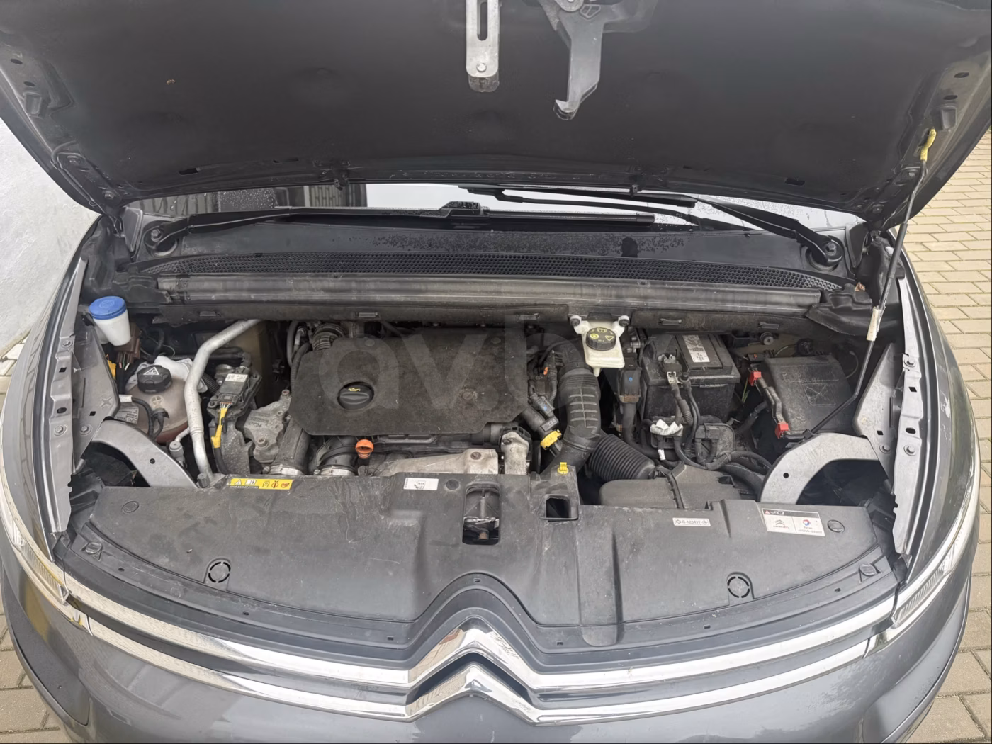 Citroen C4 Spacetourer фото 11