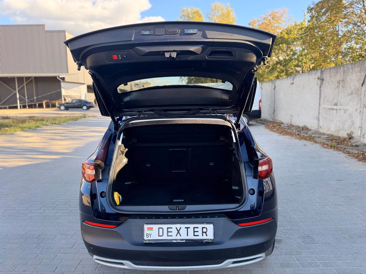 Opel Grandland X фото 9