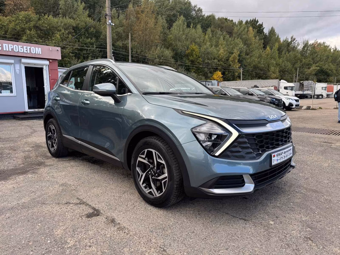 Kia Sportage фото 2
