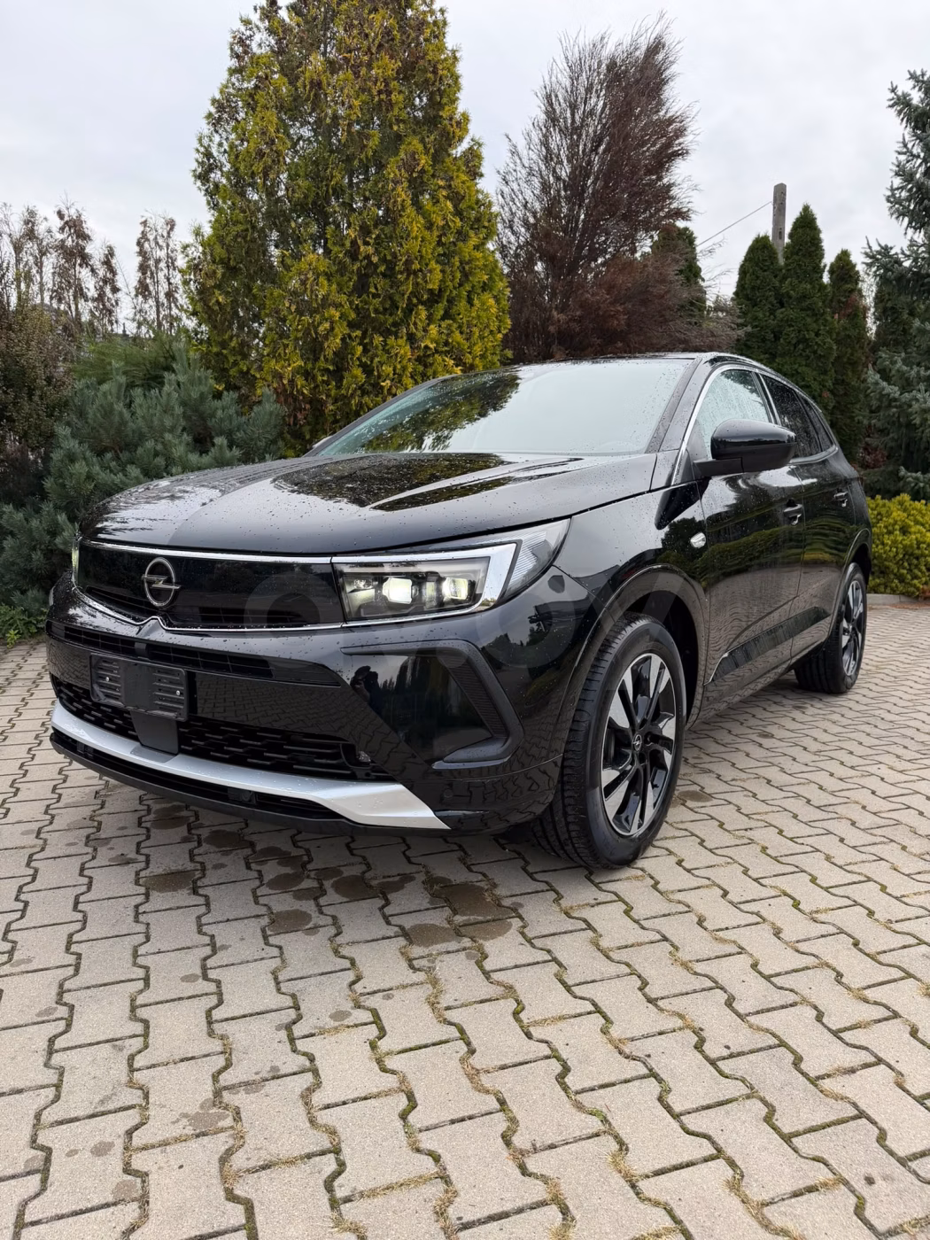 Opel Grandland X фото 2