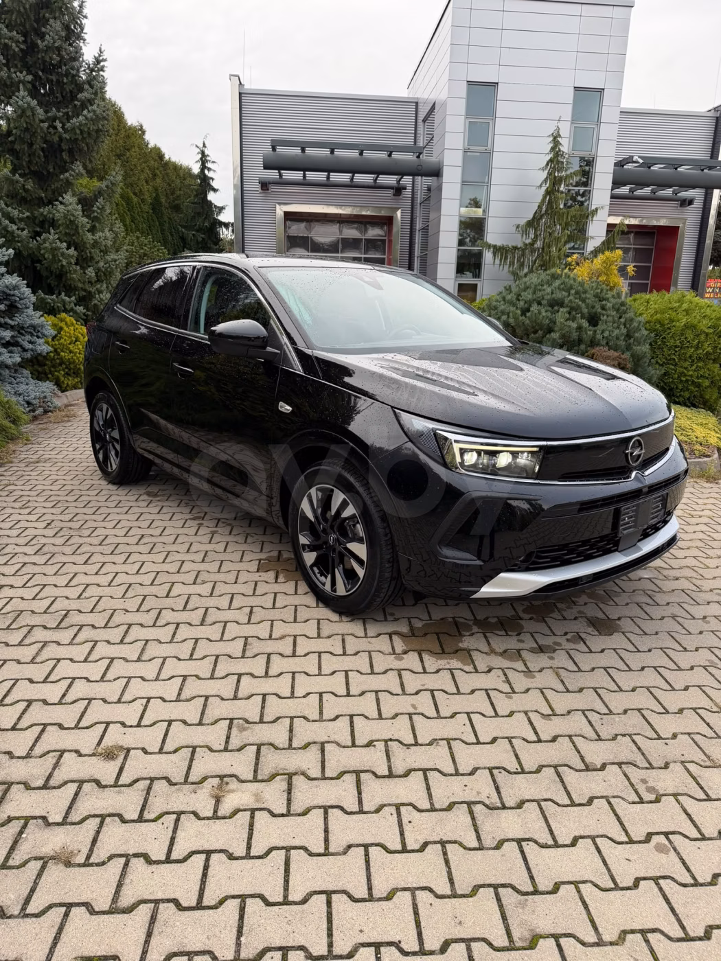 Opel Grandland X фото 9