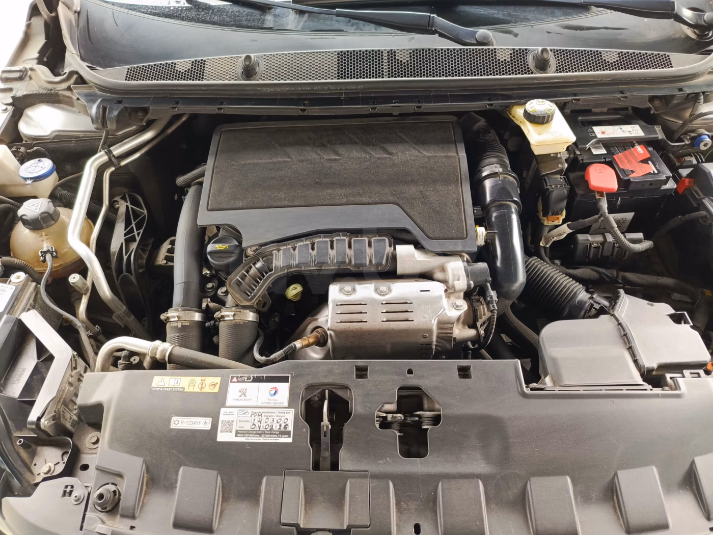 Peugeot 308 фото 11