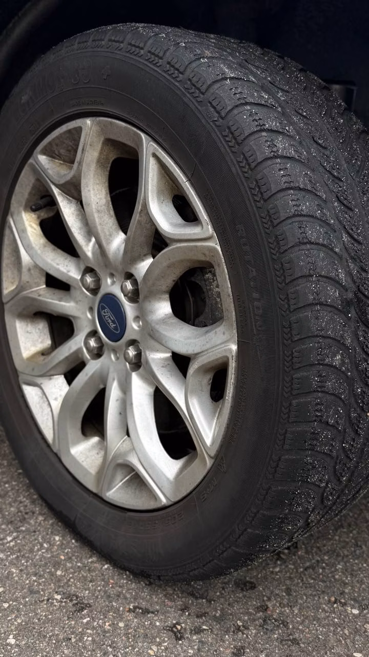 Ford EcoSport фото 8