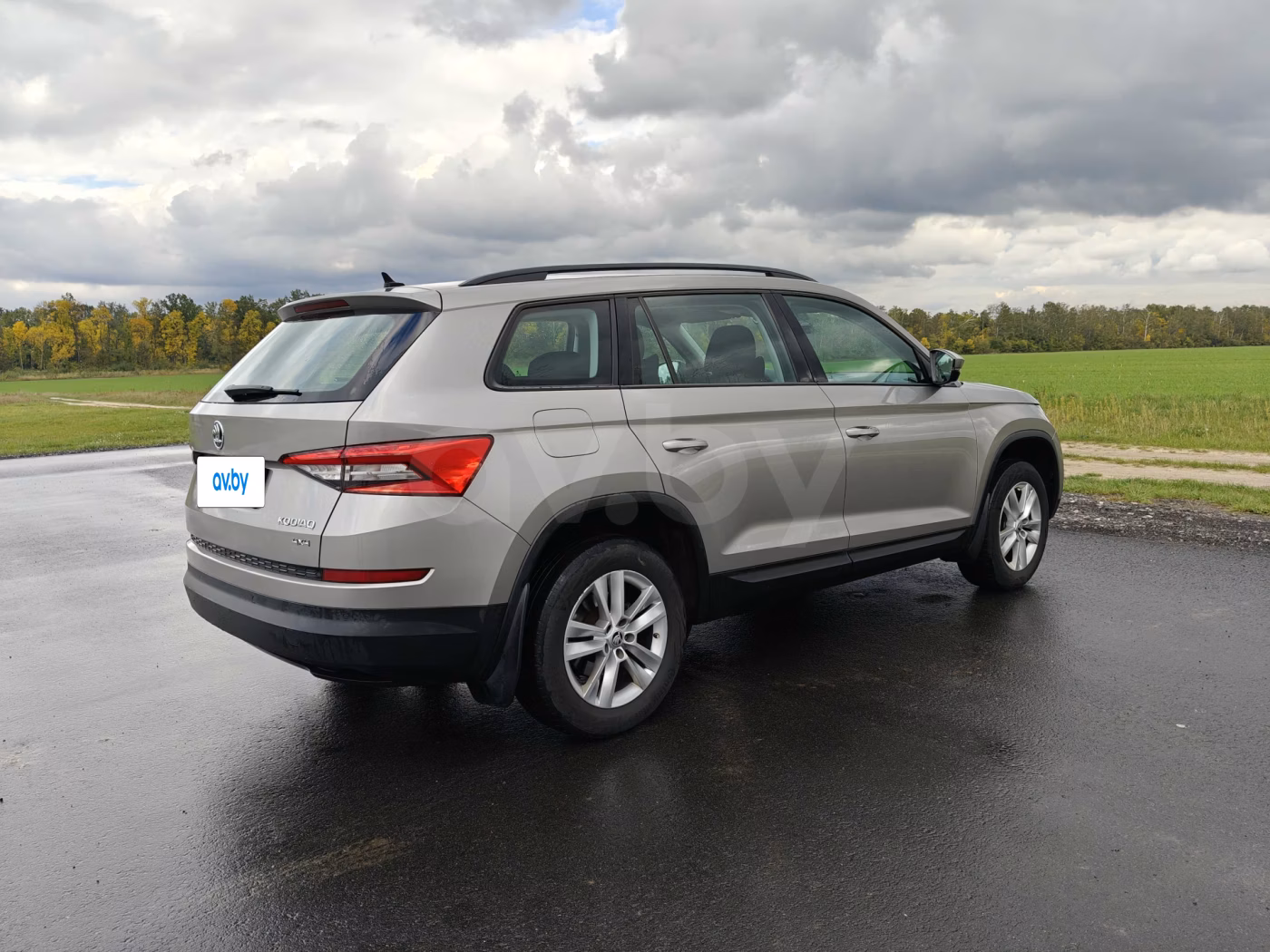 Skoda Kodiaq фото 4