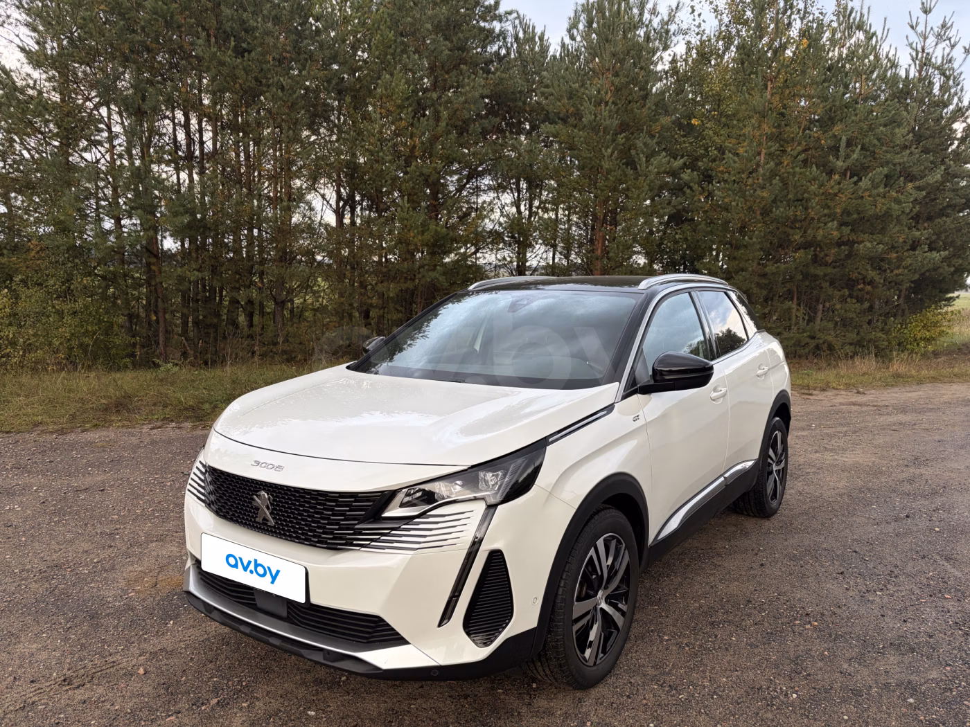 Peugeot 3008 фото 3