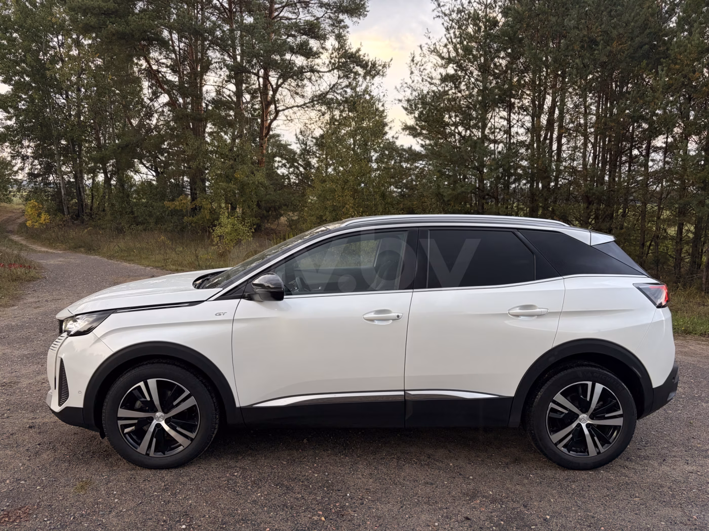 Peugeot 3008 фото 5