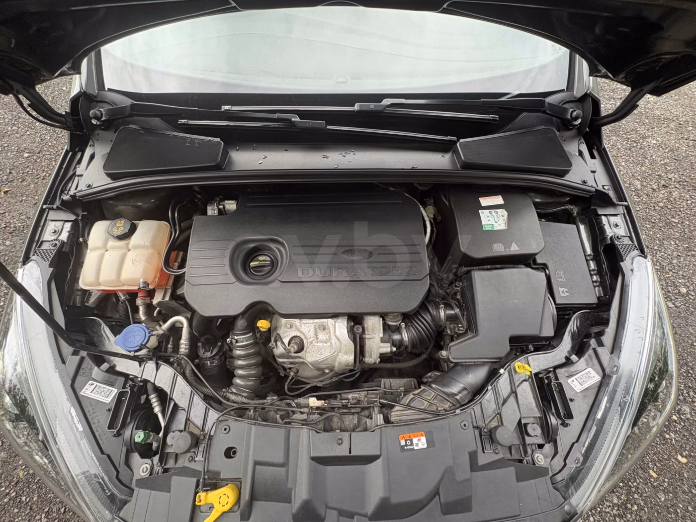 Ford Focus фото 15