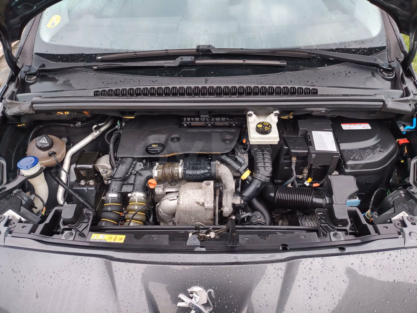 Peugeot 5008 фото 2