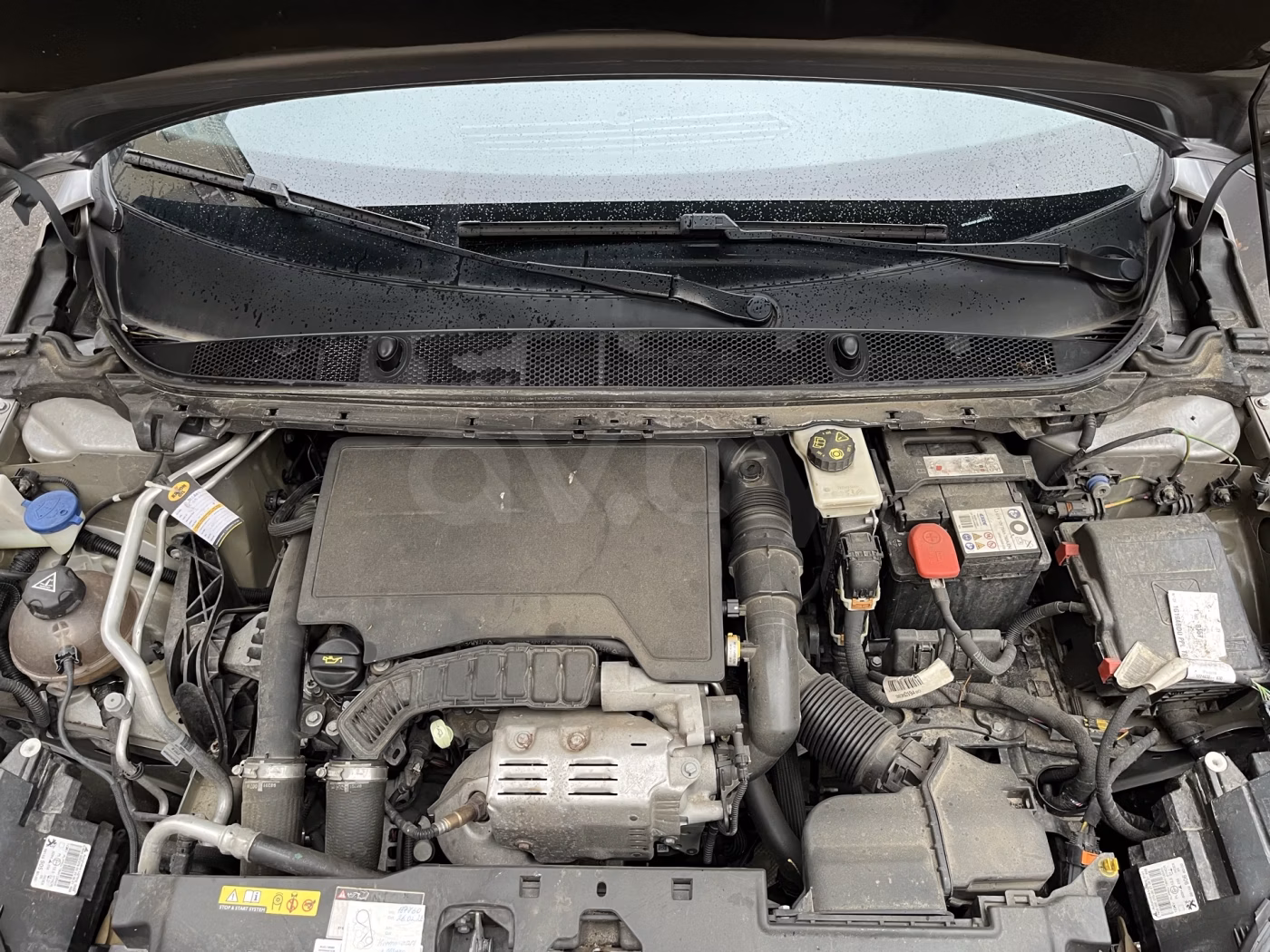 Peugeot 308 фото 9