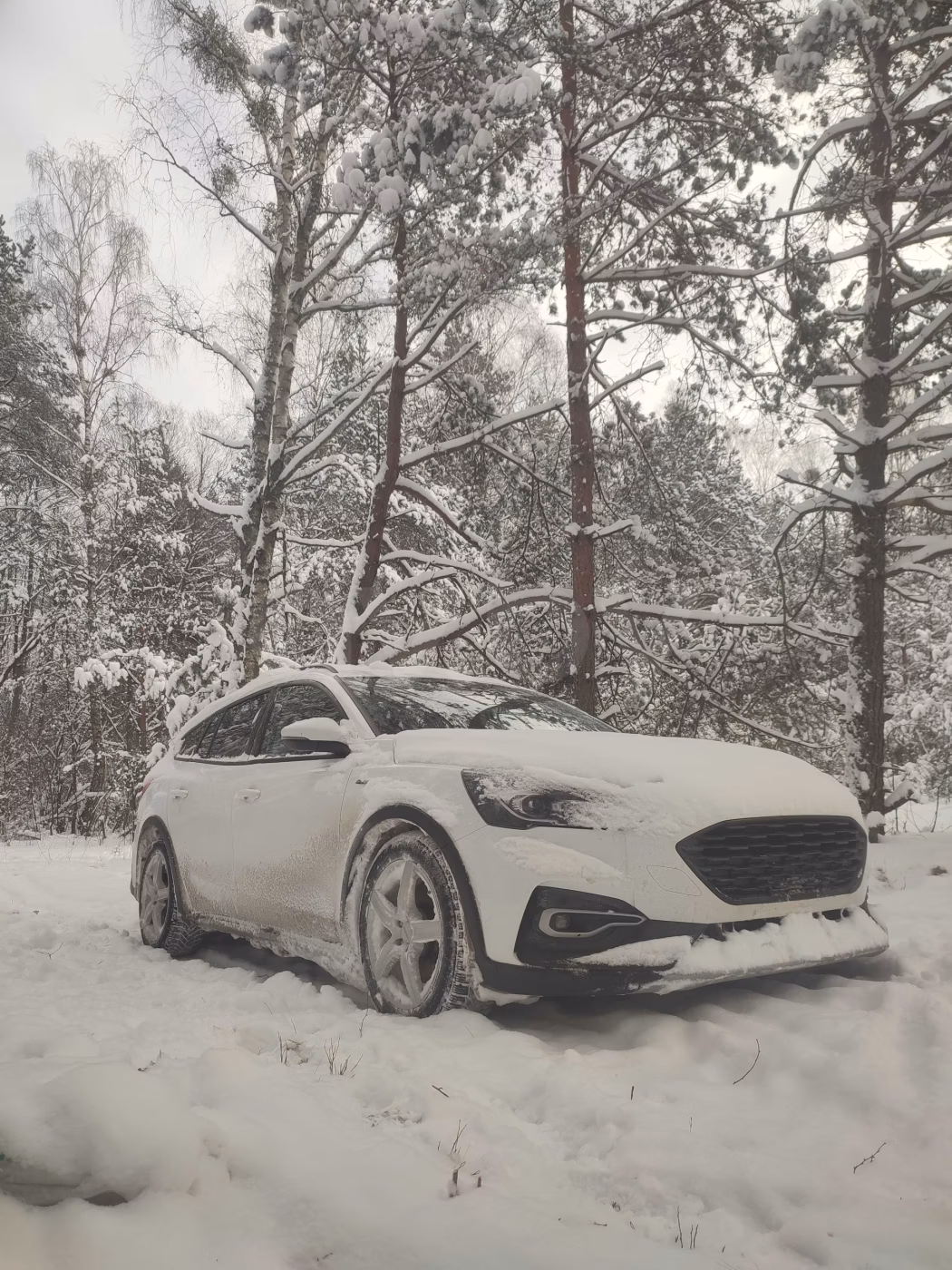 Ford Focus Active фото 17