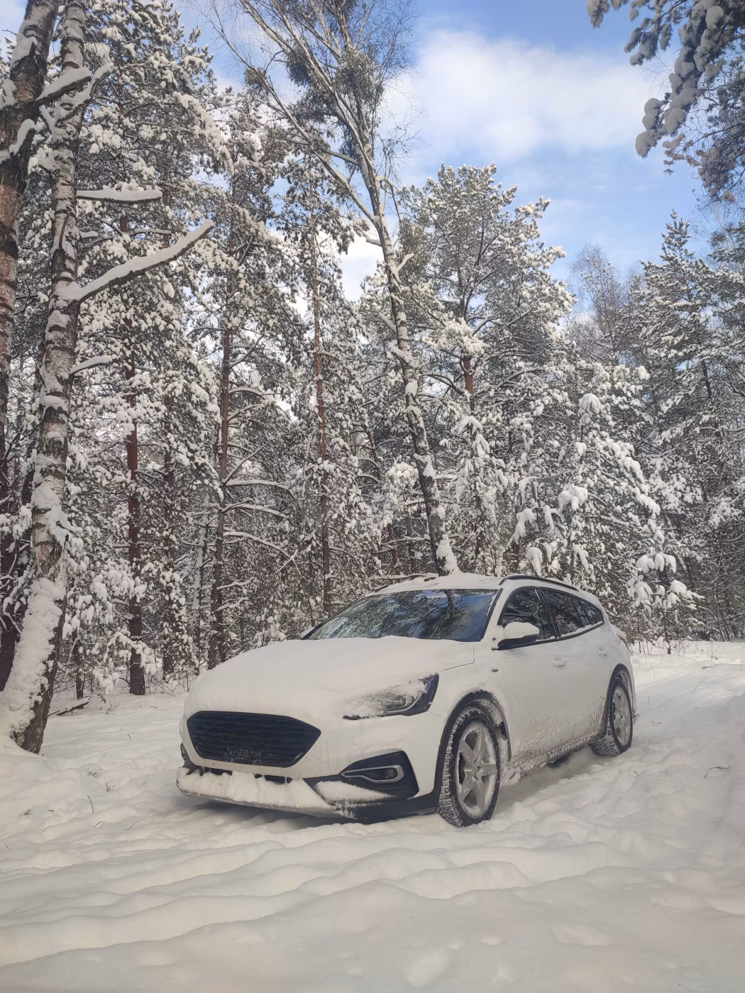 Ford Focus Active фото 18