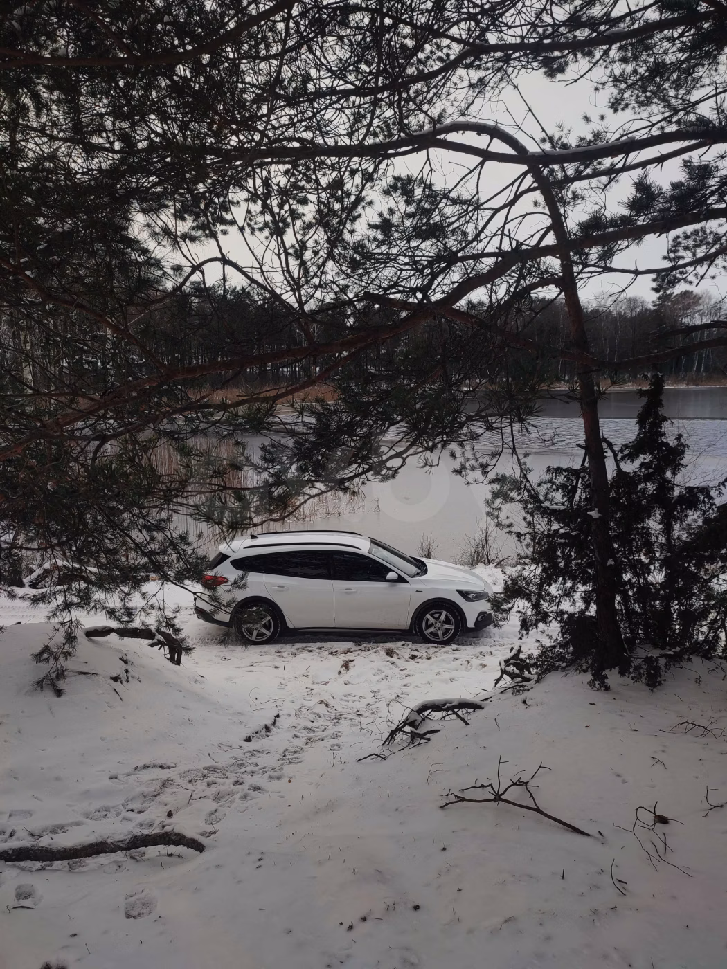Ford Focus Active фото 19