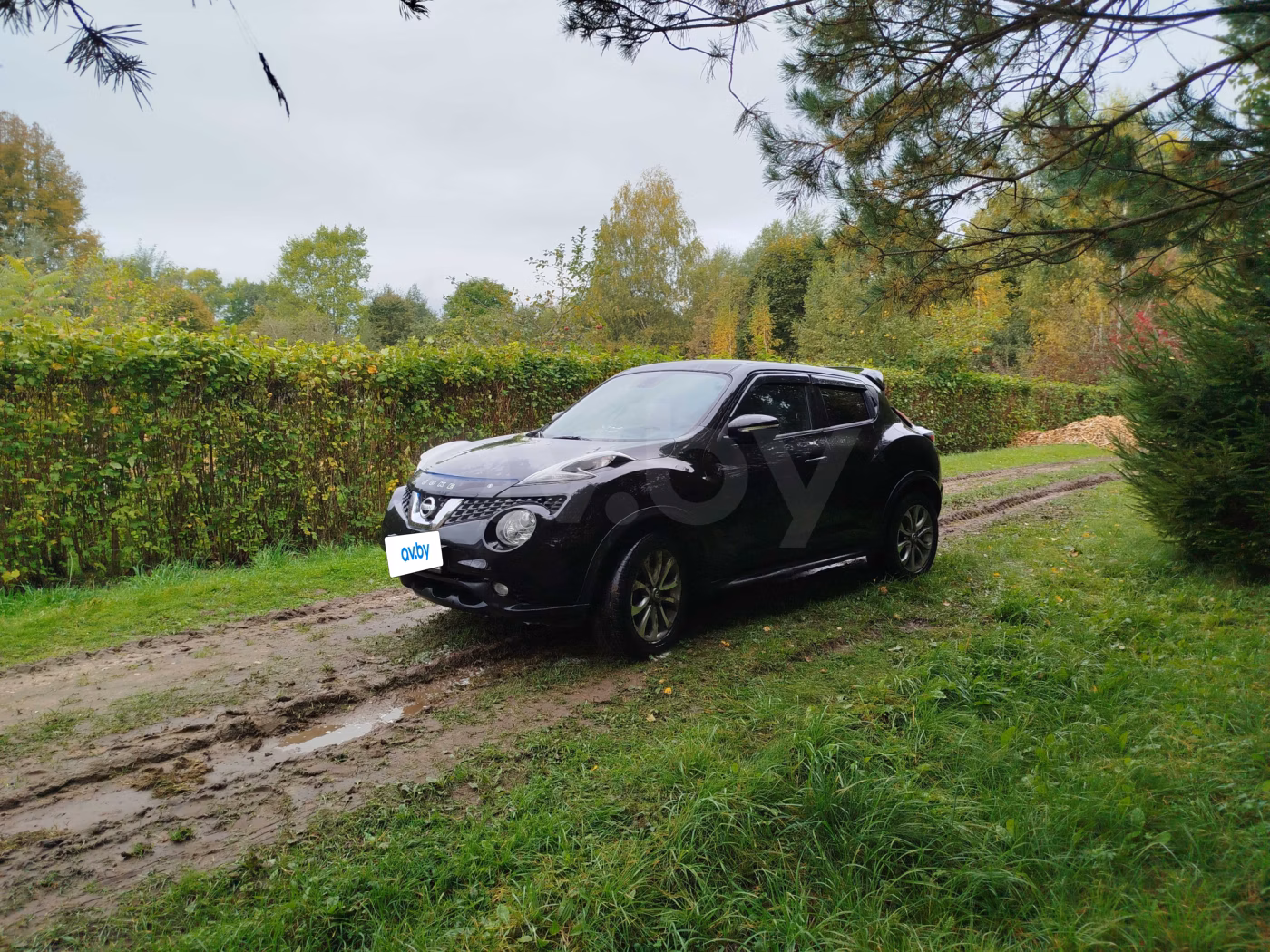 Nissan Juke фото 5