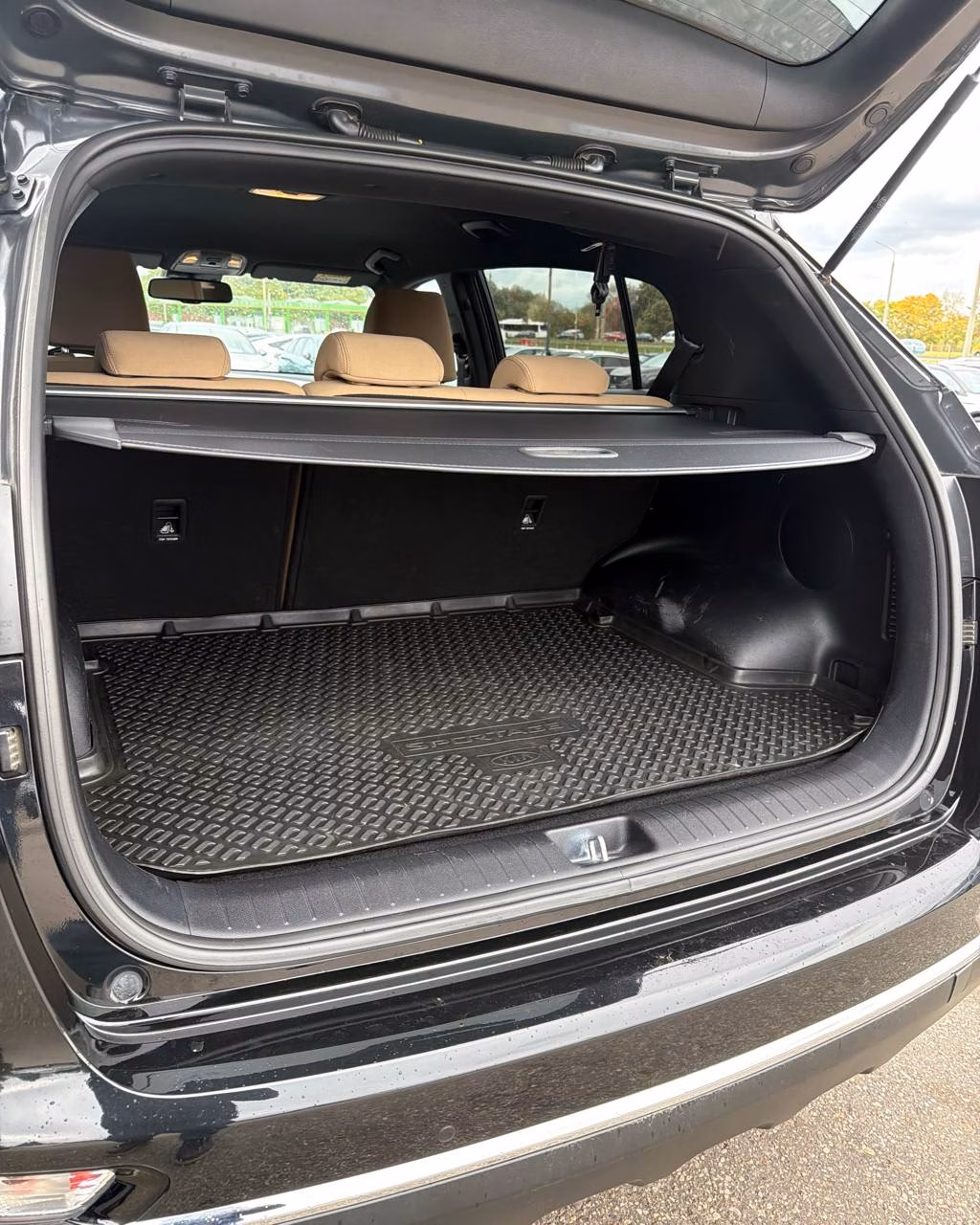 Kia Sportage фото 16