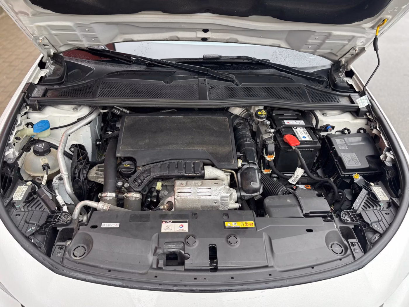 Peugeot 308 фото 15