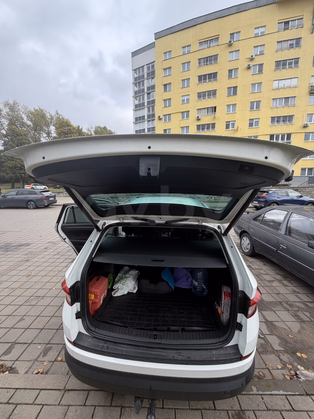 Skoda Kodiaq фото 4