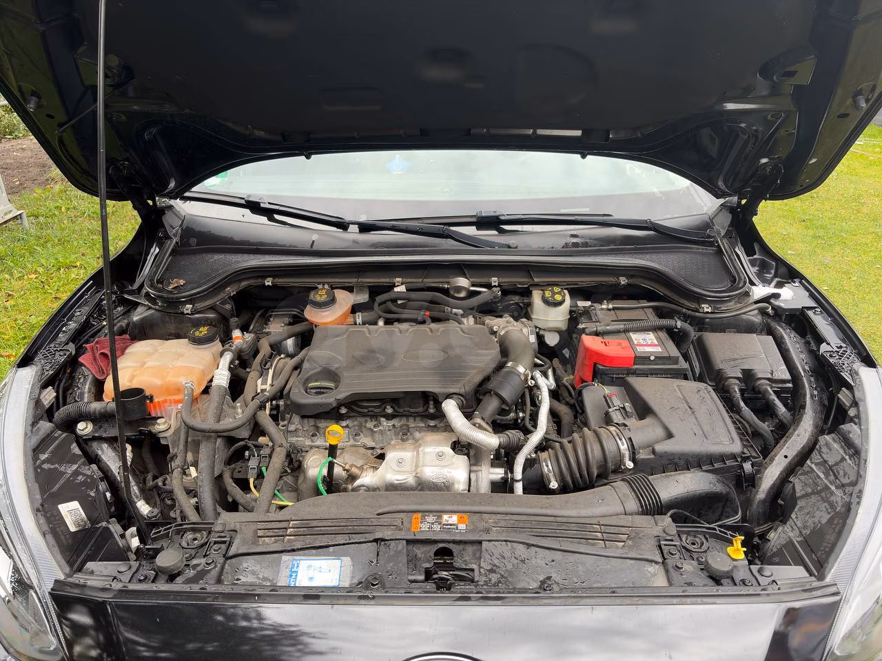 Ford Focus фото 10