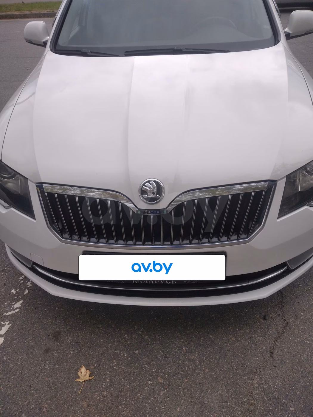 Skoda Superb фото 17