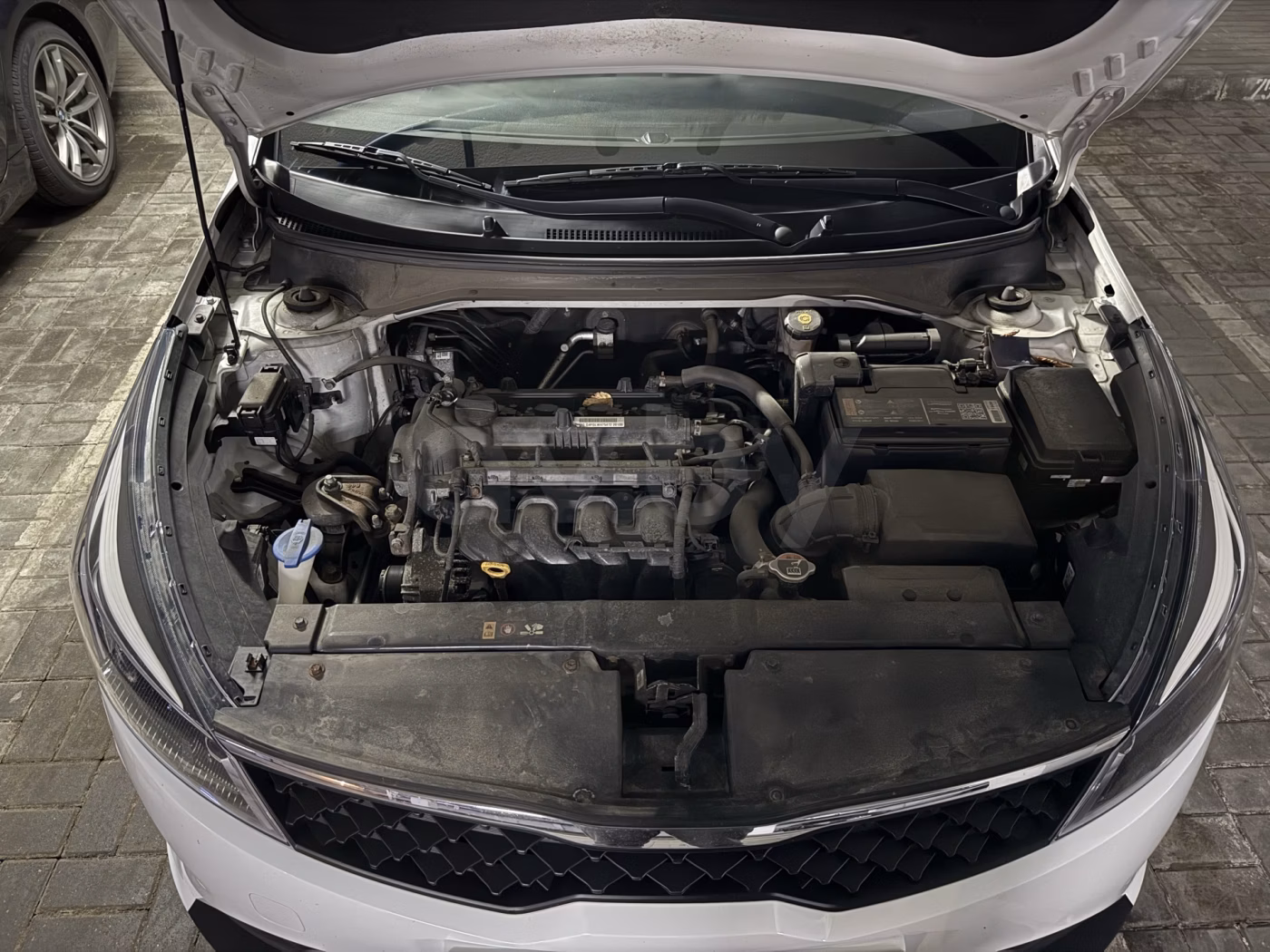Kia Rio фото 9