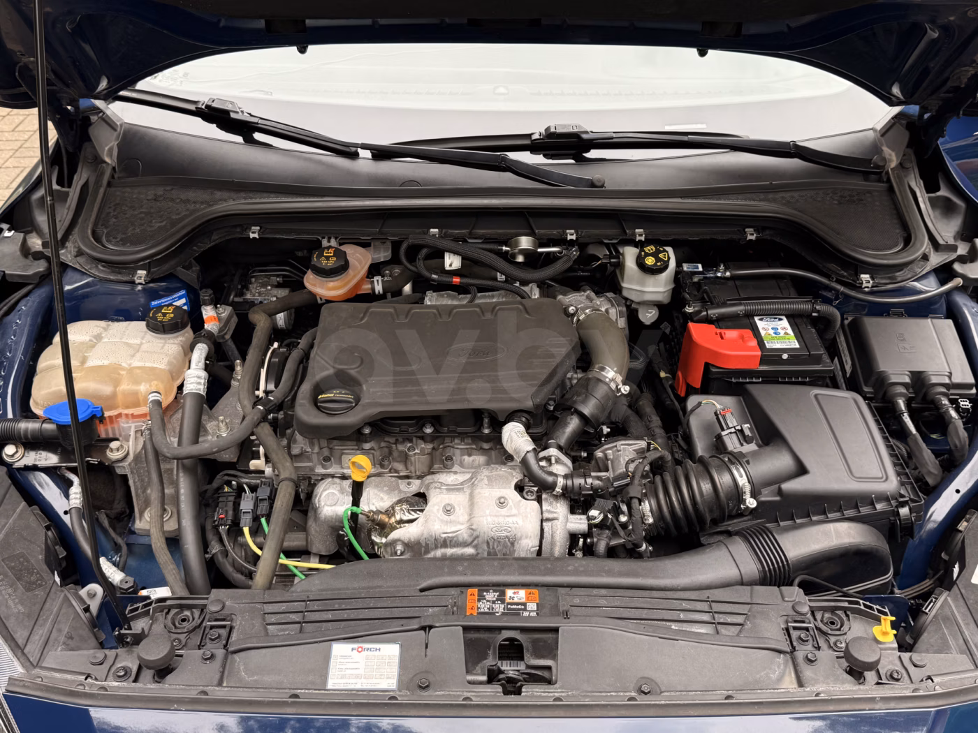 Ford Focus фото 14