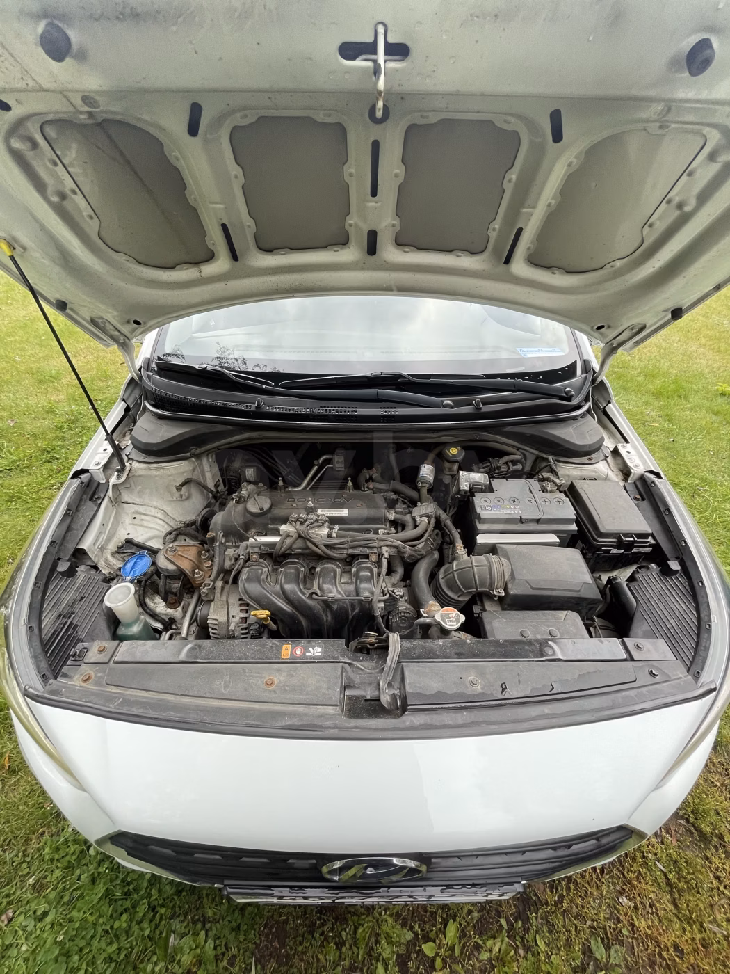 Hyundai Solaris фото 16