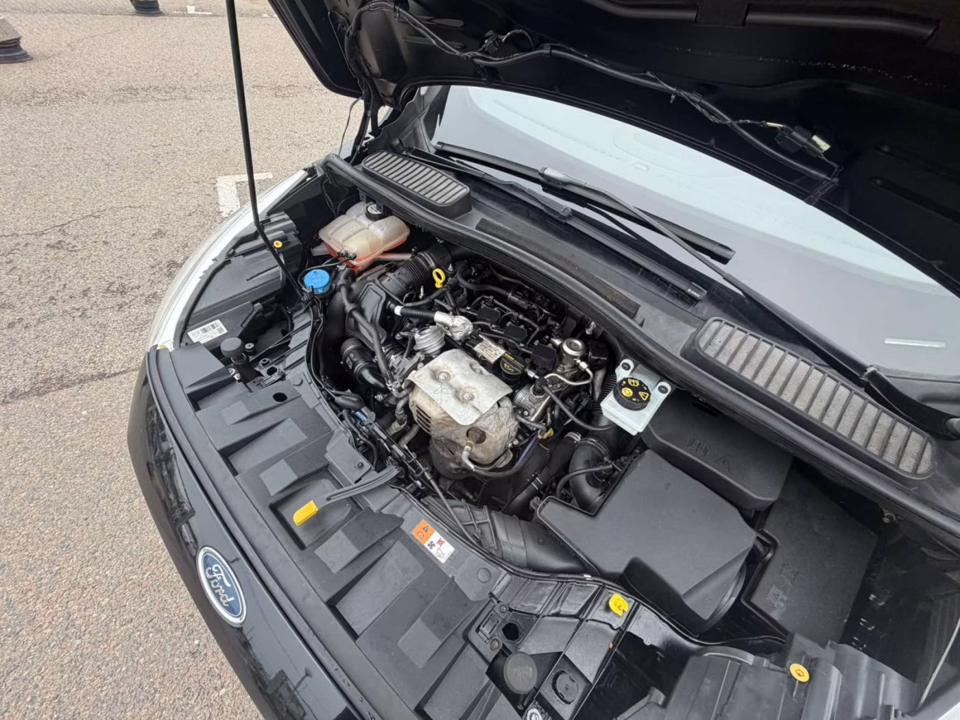 Ford Grand C-Max фото 15