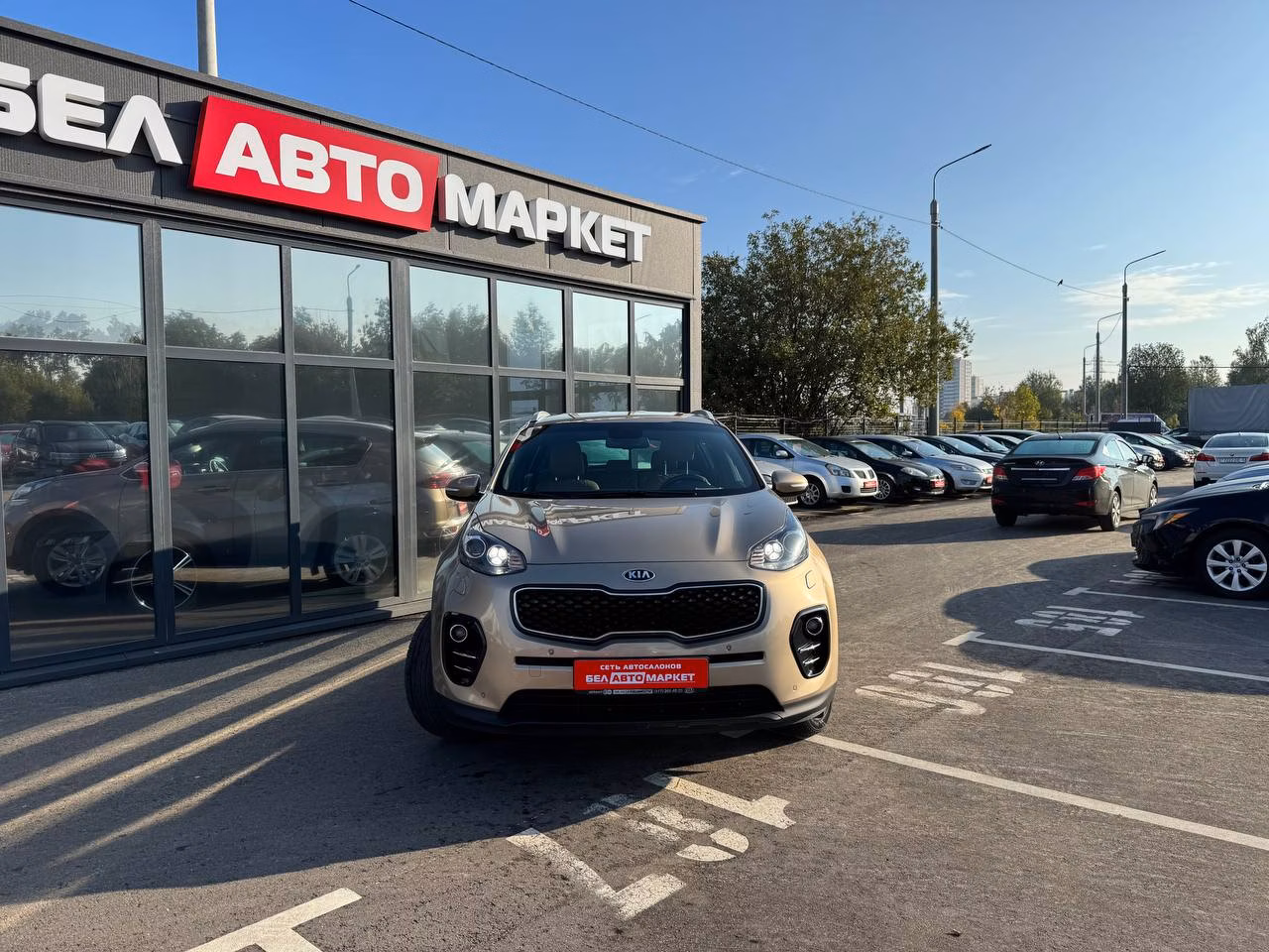 Kia Sportage фото 2