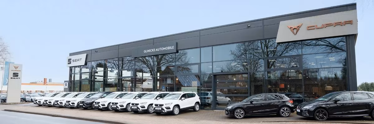 Seat Arona фото 27