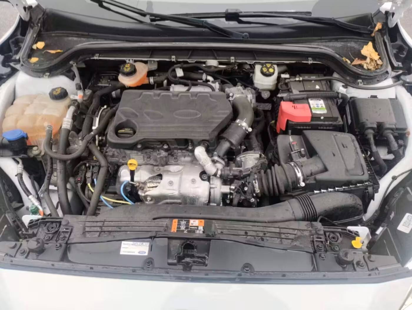 Ford Focus фото 4