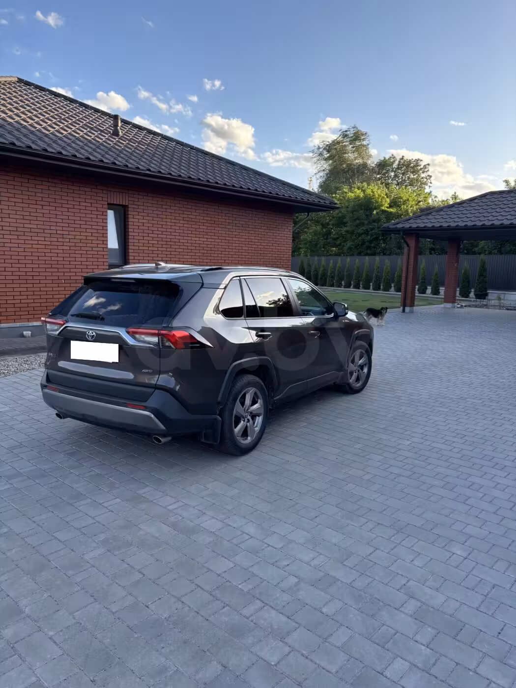 Toyota RAV4 фото 3
