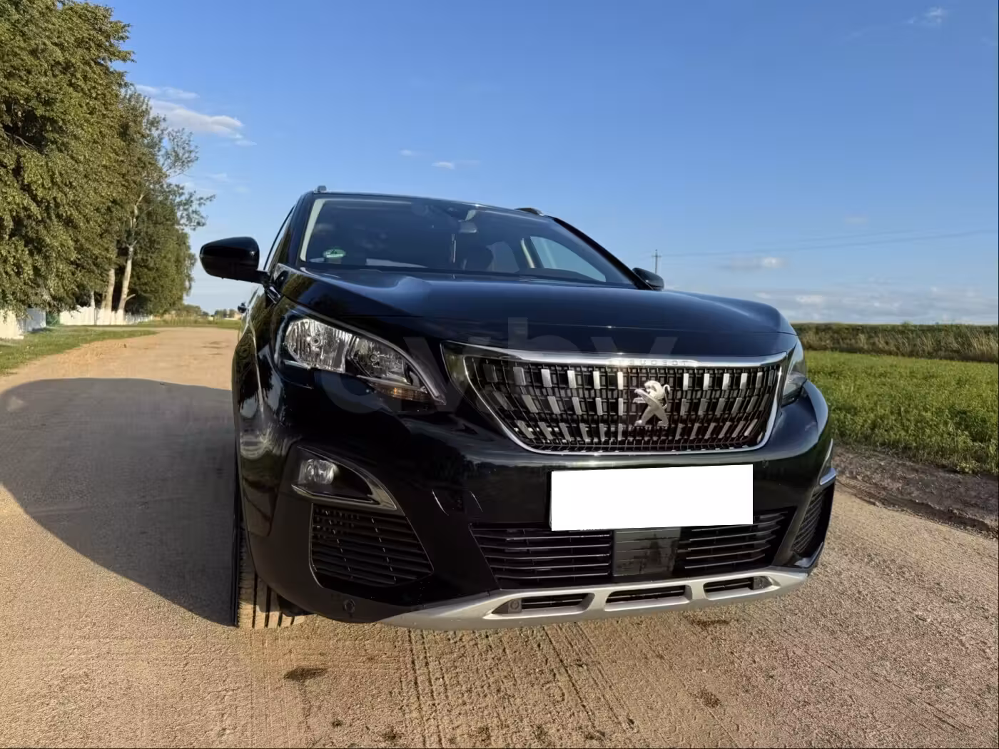 Peugeot 3008 фото 2