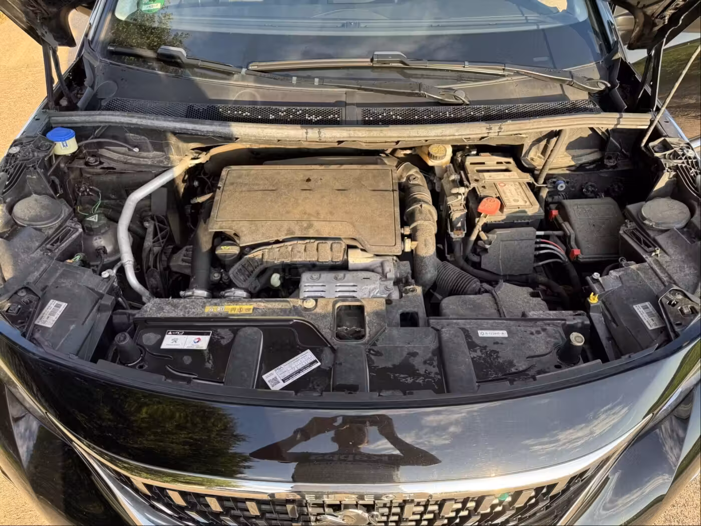 Peugeot 3008 фото 16