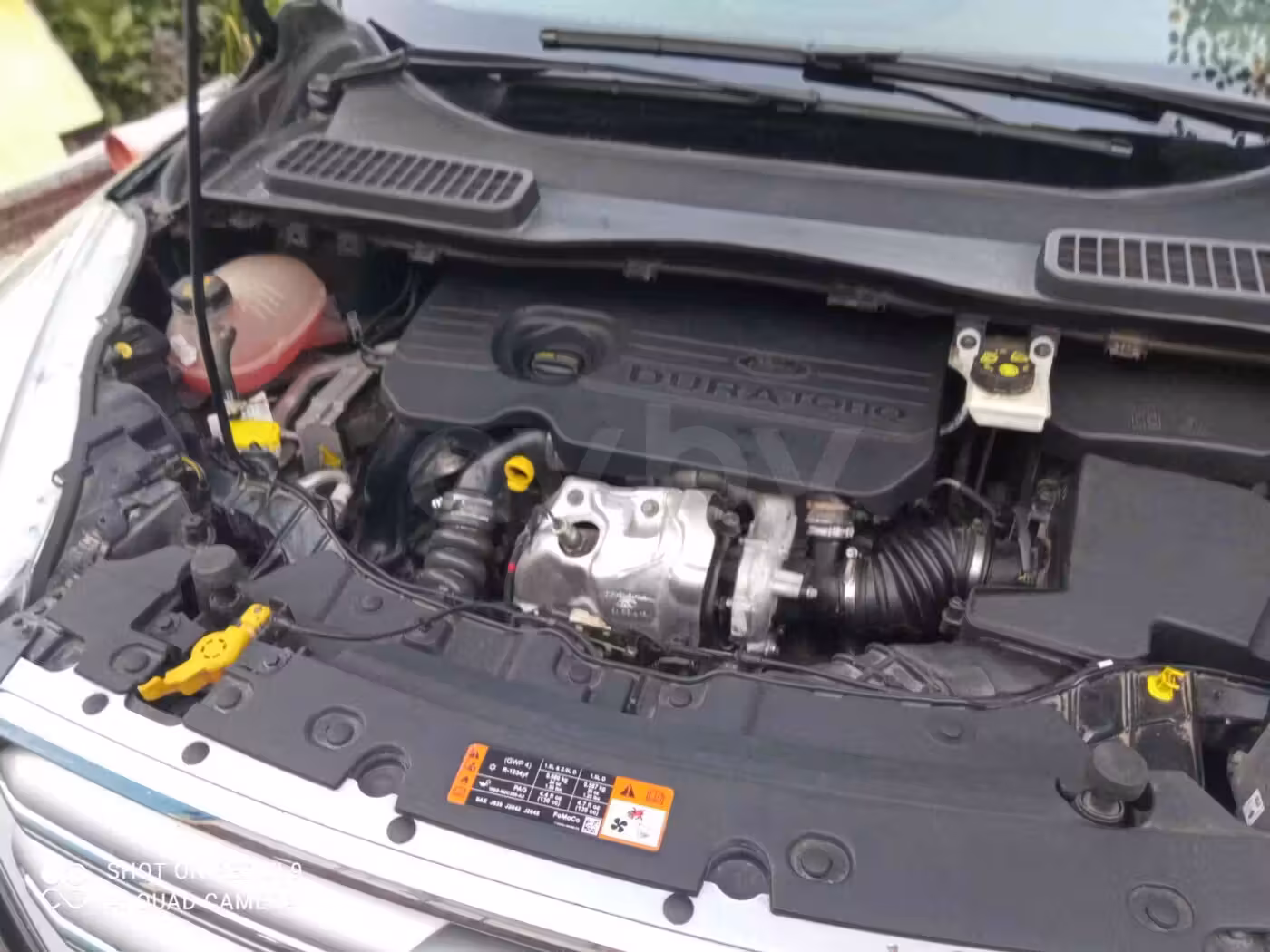 Ford Kuga фото 5