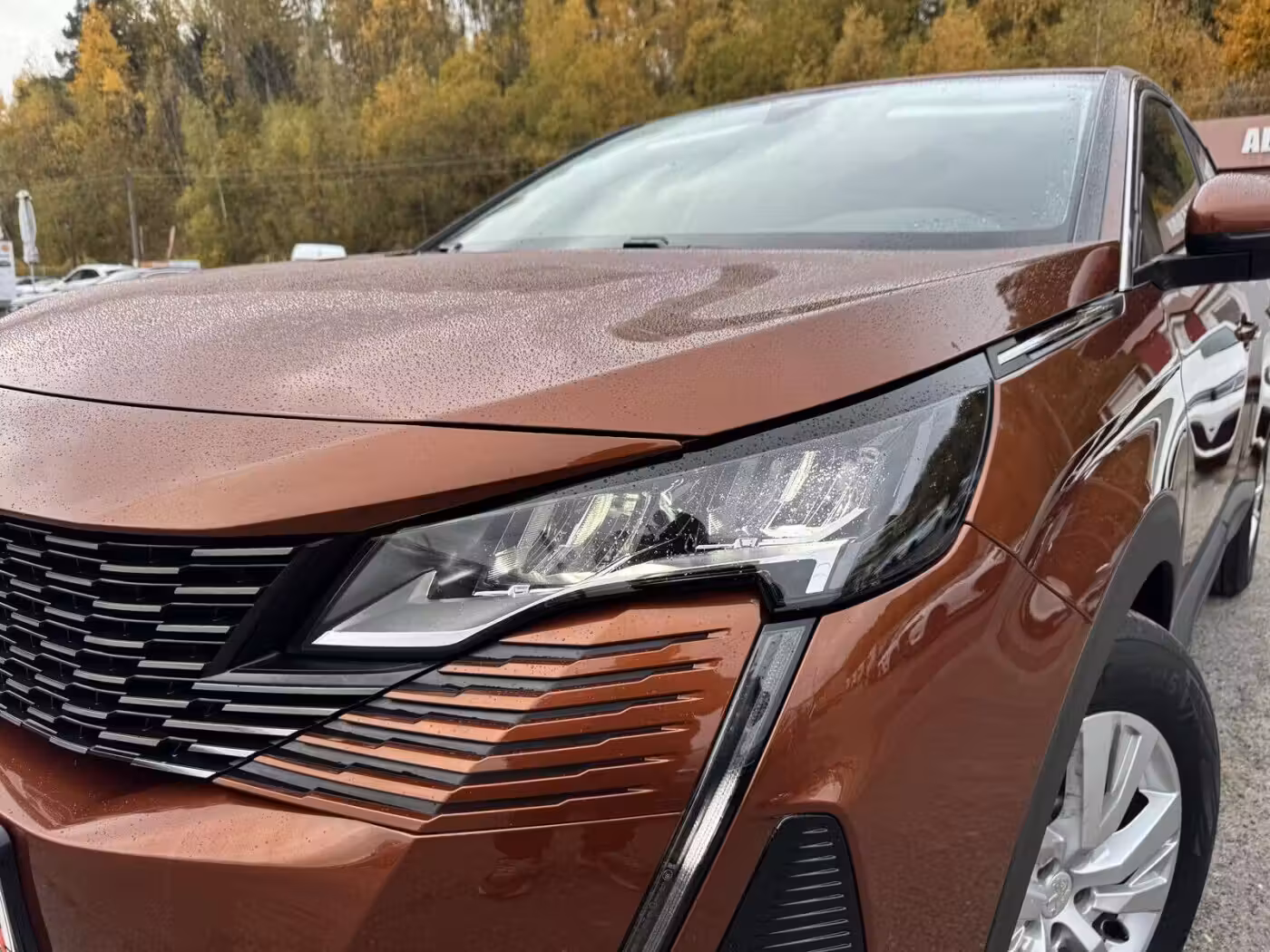 Peugeot 5008 фото 2