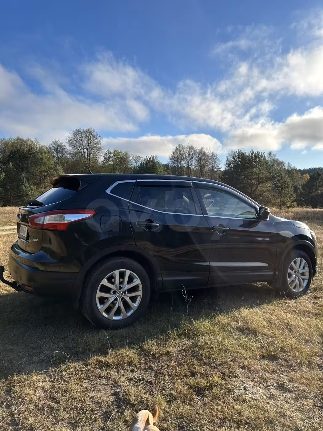 Nissan Qashqai фото 14