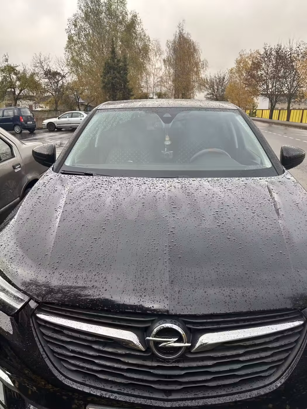 Opel Grandland X фото 2