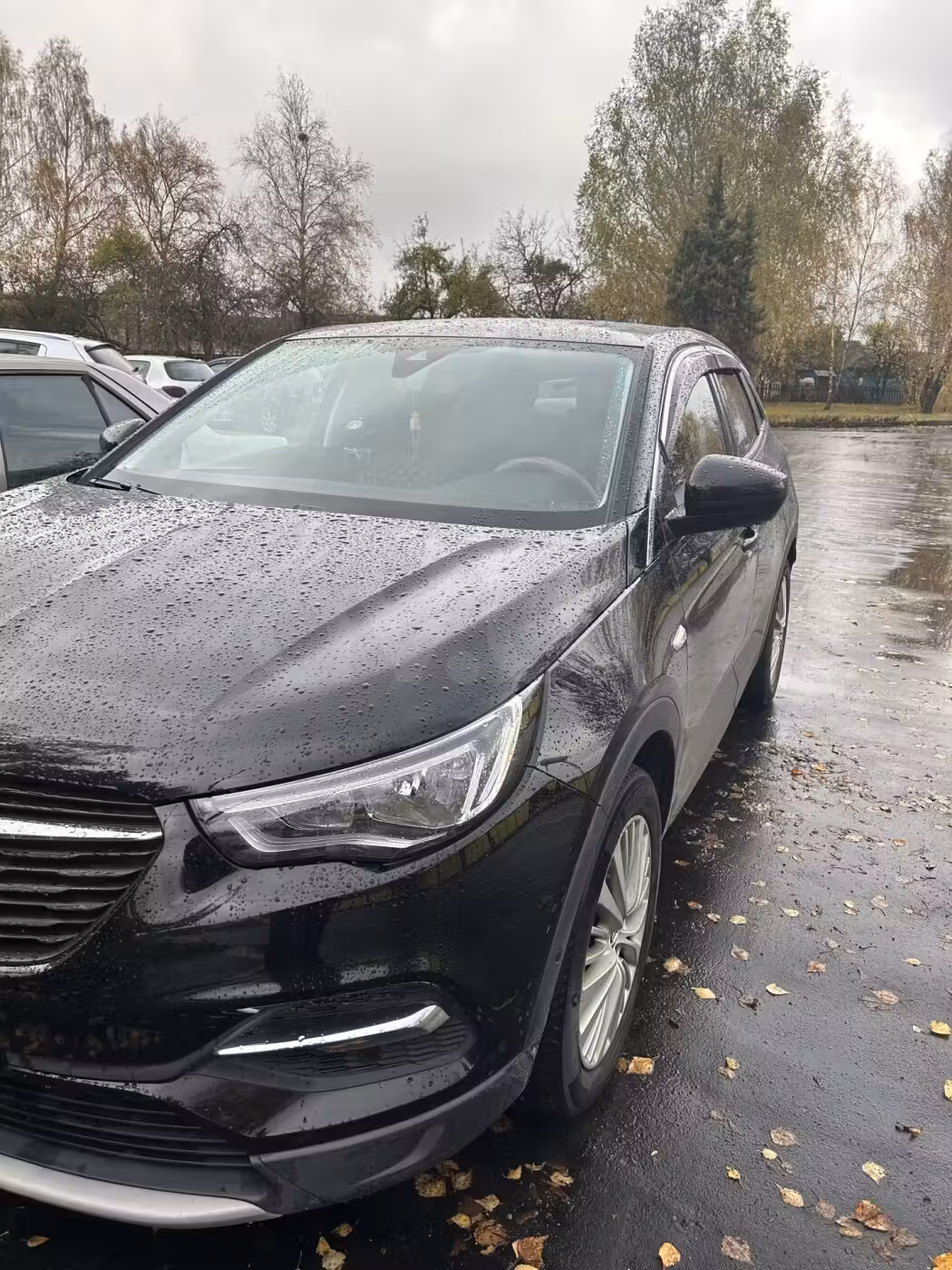 Opel Grandland X фото 4